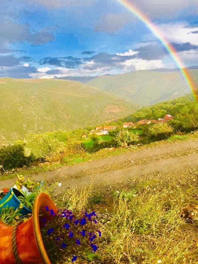 Mosteirinho Negreda Dış mekan fotoğraf