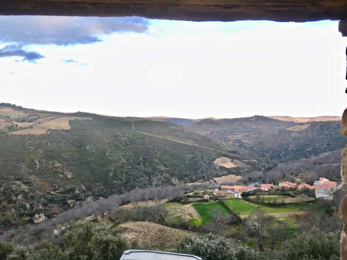 Mosteirinho Negreda Dış mekan fotoğraf