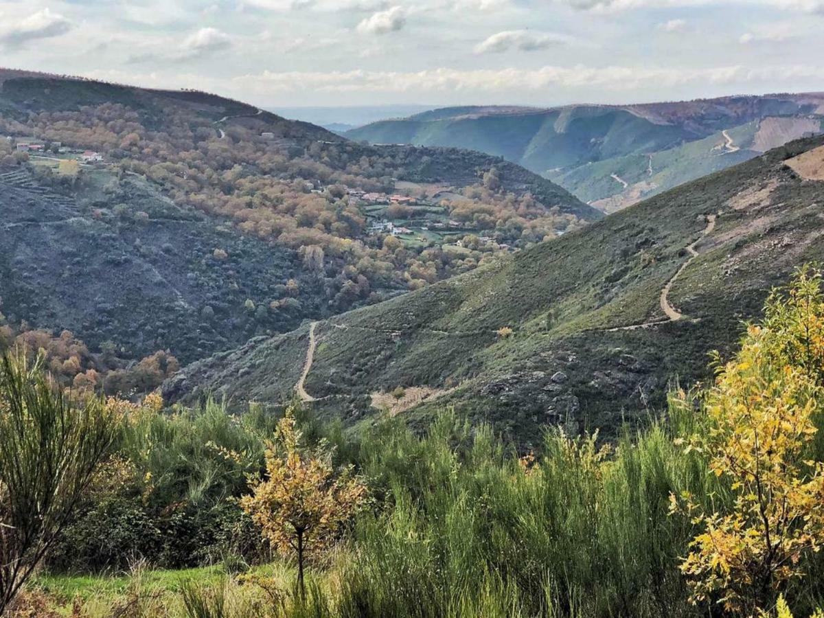 Mosteirinho Negreda Dış mekan fotoğraf
